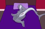  absurd_res anthro anus bed butt darkwolf79 fish furniture hi_res inviting male marine presenting presenting_anus presenting_hindquarters shark sharkiedude solo 