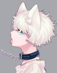  1boy adam&#039;s_apple animal_ear_fluff animal_ears blue_eyes cat_ears chain collar collarbone curly_hair grey_background hair_over_eyes original shirt short_hair signature slit_pupils tongue tongue_out tsubaki_tsubaru white_hair white_shirt 