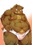  2012 anthro armpit_hair barazoku belly body_hair brown_body brown_fur bulge chiro_(artist) clothing fur kemono male mammal moobs musclegut navel nipples solo suid suina sus_(pig) underwear wild_boar 