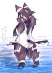  2011 anthro biped blush butt chiro_(artist) clothed clothing felid feline kemono male mammal solo water wet 