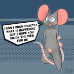  1:1 anthro balls belly dialogue english_text fur genitals grey_body grey_eyes grey_fur male mammal mouse mouse_tail murid murine nimbus_(shountar) pattern_background penis rodent shountar simple_background small_nose small_penis solo speech_bubble text 