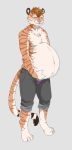  allietheweirdkid anthro bottomwear clothed clothing digitigrade felid hi_res holding_belly male male_pregnancy mammal pantherine pants pregnant solo standing tiger topless underwear 