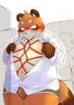  2014 anthro bdsm belly blush bondage bound brown_body brown_fur canid canine chiro_(artist) clothing duo fur humanoid_hands kemono male mammal nipples overweight overweight_male raccoon_dog rope solo_focus tanuki underwear 