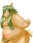  2013 anthro anvel belly blush canid canine chiro_(artist) kemono male mammal moobs nipples overweight overweight_anthro overweight_male simple_background solo white_background 