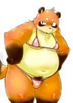  2014 anthro blush brown_body brown_fur bulge canid canine chiro_(artist) clothing fur kemono male mammal moobs navel overweight overweight_anthro overweight_male pubes raccoon_dog simple_background solo tanuki underwear white_background 