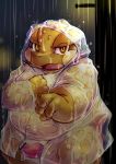  2013 amphibian anthro belly blush chiro_(artist) clothing coat frog genitals kemono male messiah_rundall night outside overweight overweight_anthro overweight_male penis raincoat raining solo topwear 