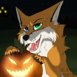  1:1 alexander_the_fox anthro black_nose blue_eyes canid canine canis digital_media_(artwork) fangs fox fur grass green_eyes halloween holidays jack-o&#039;-lantern looking_at_viewer male mammal orange_body orange_fox orange_fur pawpads paws scary_face signature simple_background sky slayerportal smile solo star starry_sky white_body white_fur 