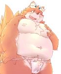  2017 anthro asian_clothing belly bulge chiro_(artist) clothing east_asian_clothing fundoshi hi_res japanese_clothing kemono male moobs navel nipples overweight overweight_anthro overweight_male simple_background solo underwear white_background 