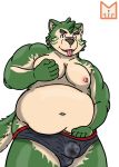  2020 anthro bodily_fluids bulge canid canine canis clothing domestic_dog fur genital_fluids green_body green_fur hi_res live-a-hero male mammal mokdai overweight overweight_anthro overweight_male precum red_panda_mirr solo tongue tongue_out underwear video_games 