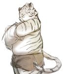  2015 anthro belly chiro_(artist) clothing felid kemono male mammal pantherine shirt simple_background slightly_chubby solo tiger topwear underwear undressing white_background 