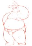  2016 anthro belly bulge chiro_(artist) clothing kemono lagomorph leporid male mammal moobs nipples overweight overweight_anthro overweight_male rabbit simple_background solo underwear white_background 