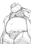  2015 anthro balls blush bulge canid canine canis chiro_(artist) clothed clothing crossdressing domestic_dog genitals kemono male mammal overweight overweight_anthro overweight_male penis simple_background solo underwear white_background 