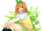  1girl blue_eyes blush bow breasts commentary_request go-toubun_no_hanayome green_bow green_hairband green_ribbon green_skirt hairband large_breasts looking_at_viewer nakano_yotsuba nyaumineko open_mouth orange_hair ribbon round_teeth school_uniform shirt short_hair sitting skirt socks solo sweater teeth 