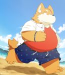  2014 anthro beach belly bottomwear canid canine canis clothing domestic_dog kemono male mammal outside overweight overweight_anthro overweight_male seaside shirt shorts solo topwear water zuppu11 