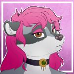  anthro brown_eyes choker dunnowhattowrite female hair hi_res jewelry mammal necklace pasia pink_hair procyonid raccoon solo spotted_nose 