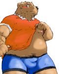  2008 anthro blush brown_body brown_fur bulge clothing fur kisukemk777 low_res male mammal nipples overweight overweight_anthro overweight_male simple_background solo underwear ursid white_background 