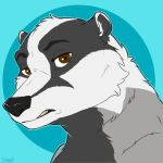  angry anthro badger brown_eyes dunnowhattowrite hi_res icons looking_at_viewer male mammal mustelid musteline solo 