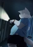  2015 anthro belly black_nose bottomwear canid canine clothing detailed_background fur grey_body grey_fur hi_res inside kemono mammal night overweight overweight_anthro shirt shorts solo topwear zuppu11 