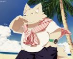  2014 anthro beach black_nose bottomwear canid canine clothing hi_res kemono male mammal one_eye_closed outside pants seaside shirt slightly_chubby solo topwear water wink zuppu11 