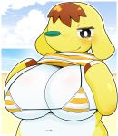  absurd_res animal_crossing anthro beach big_breasts blush breasts cleavage clothed clothing clothing_lift cloud digital_media_(artwork) elephant elephantid eloise_(animal_crossing) female funahashi_yugoro hair hi_res huge_breasts mammal navel nintendo outside proboscidean seaside shirt shirt_lift sky smile solo swimwear topwear trunk video_games yellow_body yellow_skin 