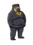  2020 anthro belly black_body black_fur bodily_fluids fur hi_res lentejota6 male mammal nipples overweight overweight_anthro overweight_male simple_background solo spectacled_bear sweat tremarctine ursid white_background 