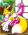  digimon renamon tagme 