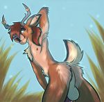  anthro antlers anus arm_tuft armpit_tuft backsack balls black_body black_fur black_nipples black_nose blue_eyes blue_sky brown_body brown_fur butt cervid chest_tuft digital_drawing_(artwork) digital_media_(artwork) ear_piercing elbow_tufts flaccid fur genitals grass hair hand_behind_head horn industrial_piercing looking_back male mammal nipples notched_ear nude_outside outside penis piercing ponytail presenting presenting_anus presenting_balls raised_tail red_hair scut_tail sky slim smile solo solo_focus tailtufts tan_body tan_fur tuft watermark whiskers white_body white_fur 