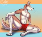  anthro artwork_(digital) boxers_(clothing) canid canine canis clothing cute_face digital_drawing_(artwork) digital_media_(artwork) domestic_dog genitals husky male mammal muscular muscular_anthro muscular_male nordic_sled_dog oops patreon_reward paws penis relaxing smile solo spitz sunny_way underwear wardrobe_malfunction 