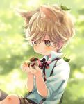  1boy animal animal_ears bangs bird black_shorts blurry blurry_background blush brown_hair bruise cat_ears closed_mouth collared_shirt commentary_request depth_of_field dress_shirt eurasian_tree_sparrow eyebrows_visible_through_hair grey_eyes hair_between_eyes hands_up holding holding_animal injury kuga_tsukasa leaf leaf_on_head looking_at_animal looking_away male_focus neck_ribbon original red_ribbon ribbon shirt short_sleeves shorts smile solo sparrow suspender_shorts suspenders white_shirt 