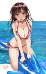  1girl artist_name bikini breasts brown_eyes brown_hair cleavage collarbone highres horizon inflatable_dolphin inflatable_toy john_mangalile kanojo_okarishimasu large_breasts long_hair looking_at_viewer mizuhara_chizuru ocean pink_bikini riding side-tie_bikini simple_background solo swimsuit water white_background 