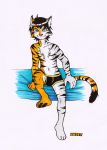  anthro bed boxer_briefs clothing felid furniture inks mammal markers narcoticdream pantherine solo tiger underwear 