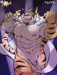  3:4 abs anthro biceps featureless_crotch felid hi_res live-a-hero male mammal mask muscular muscular_anthro muscular_male nipples nude pantherine pecs raiki solo streaming superhero tiger zin_teki 