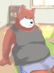  2020 anthro black_nose bottomwear canid canine canis clothing detailed_background domestic_dog en_1_9 hi_res inside kemono male mammal overweight overweight_anthro overweight_male shirt shorts sitting solo topwear 