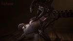  2020 3d_(artwork) 3d_animation alien alien_(franchise) all_fours anal anal_penetration animal_genitalia animal_penis animated anthro balls balls_deep big_balls big_butt big_penis breasts butt digital_media_(artwork) digitigrade doggystyle duo equine_penis erection from_behind_position genitals gynomorph gynomorph/male gynomorph_penetrating gynomorph_penetrating_male halo_(series) huge_penis intersex intersex/male intersex_penetrating intersex_penetrating_male loop male male_penetrated microsoft nude penetration penis rayhuma sangheili sex short_playtime thick_thighs video_games xbox_game_studios xenomorph 