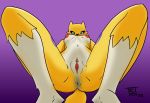  2020 anthro anus areola breasts butt canid canine clitoris digimon digimon_(species) digital_media_(artwork) erect_nipples female first_person_view fox fur genitals looking_at_viewer looking_down low-angle_view mammal nipples presenting presenting_anus presenting_pussy pussy renamon solo teot thick_thighs worm&#039;s-eye_view yellow_body yellow_fur 