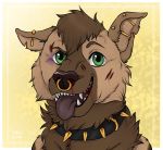  2020 anthro black_eye_(injury) blood bodily_fluids broken_bone brown_body brown_fur chipped_ear collar ear_piercing facial_piercing fur green_eyes grin hiro-sama hyaenid male mammal nose_piercing nose_ring nosebleed piercing scratch scratches shaggy_fur smile solo striped_hyena teeth tongue violence 