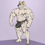  1:1 2020 abs anthro barazoku biceps big_bulge big_muscles blonde_hair bulge canid canine canis clothing deltoids fur grey_body grey_fur hair male mammal muscular muscular_anthro muscular_male navel nipples oldshep pecs quads simple_background solo standing underwear wolf 