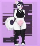  adra anthro bottomless canid canine clothed clothing collar female fennec fluffy fox genitals hi_res legwear mammal purple_eyes pussy simple_background solo stockings thick_thighs thigh_highs tongue tongue_out topwear wide_hips xredpandax_(artist) 
