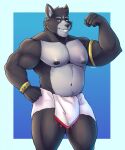 2023 adastra adastra_(series) amicus_(adastra) anthro areola armband artist_name barazoku biped blue_border blue_eyes border canid canine canis clothed clothing colored darolion echo_project facial_piercing flexing flexing_bicep front_view fur gradient_background grey_body grey_fur hi_res lip_piercing looking_at_viewer male mammal musclegut muscular muscular_anthro muscular_arms muscular_legs muscular_male nipples pecs piercing portrait pose pubes shaded simple_background skimpy solo text three-quarter_portrait topless topless_anthro topless_male wolf wristband