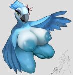 absurd_res accessory animal_humanoid anthro avian avian_humanoid beak bent_legs big_breasts bird bird_humanoid blu_(rio) blue_body blue_eyes blue_feathers blue_sky_studios breasts claws crabtopus curvy_figure digital_media_(artwork) drawing drawing_(action) feathered_crest feathered_wings feathers female feral flower flower_in_hair hair hair_accessory head_crest hi_res holding_object humanoid imagination jewel_(rio) macaw macaw_humanoid neotropical_parrot nude nude_anthro parrot parrot_humanoid pencil_(object) petals plant questioning rio_(series) seductive simple_background sketch solo spix's_macaw thight true_parrot wife wings