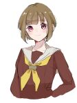  1girl alternate_hair_length_(shorter) blush bob_cut brown_dress closed_mouth commentary cropped_torso dress hasu_no_sora_school_uniform highres inverted_bob kachimachi_kosuzu link!_like!_love_live! long_sleeves looking_at_viewer love_live! neckerchief official_alternate_hairstyle pink_eyes roku_aya_fuyu sailor_collar sailor_dress school_uniform simple_background smile solo upper_body virtual_youtuber white_background white_sailor_collar winter_uniform yellow_neckerchief 