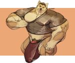  2020 abs anthro balls biceps big_balls big_muscles big_penis brown_hair canid canine canis clothing domestic_dog flaccid genitals hair huge_balls huge_muscles huge_penis humanoid_genitalia humanoid_penis hyper hyper_balls hyper_genitalia hyper_muscles hyper_penis looking_at_viewer male mammal muscular muscular_anthro muscular_male navel nipples oldshep one_eye_closed pec_squish pecs penis pubes quads shiba_inu shirt simple_background smile solo spitz squish standing thick_thighs tongue tongue_out topwear translucent translucent_clothing translucent_shirt translucent_topwear translucent_underwear uncut underwear vein veiny_penis wink yellow_body 