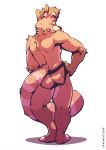  absurd_res anthro clothing fur hi_res jockstrap looking_at_viewer looking_back male mammal multicolored_body multicolored_fur procyonid raccoon smile smirk solo underwear yellow2kat 