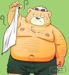  2020 anthro belly bottomwear brown_body brown_fur bulge clothing fur green_background kemono male mammal moobs navel nipples overweight overweight_anthro overweight_male shorts simple_background solo toshi_(artist) ursid 