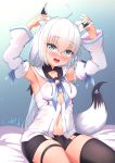  animal_ears gmkj hololive shirakami_fubuki tail thighhighs 