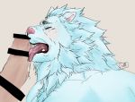  anthro balls duo erection felid fur genitals irura0323 licking lion male male/male mammal muscular muscular_male oral pantherine pecs penile penis penis_lick sex snow_(tas) tokyo_afterschool_summoners tongue tongue_out video_games white_body white_fur 
