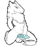  1:1 animal_genitalia bodily_fluids bowl ctarik cum cum_in_bowl fluffy genital_fluids genitals girly gradient_penis hi_res kneeling knot male masturbation neck_tuft penile penile_masturbation penis penis_grab sergal simple_background solo solo_focus thick_thighs tuft white_background 