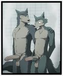  2020 anthro balls beastars canid canine canis chest_tuft comparing comparing_penis delirost duo erection father father_and_child father_and_son fur genitals grey_body grey_fur hand_behind_back hand_on_penis hand_on_shoulder hi_res imminent_incest incest_(lore) legoshi_(beastars) looking_down male mammal miyagi_(beastars) nude parent parent_and_child parent_and_son penis scar shower son standing tuft uncut wolf 