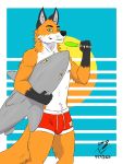  3:4 abstract_background absurd_res anthro beach canid canine clothing drekkorwolfsoul fish food fox hi_res inflatable male mammal marine popsicle seaside shark solo swimwear 