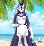  5_fingers absurd_res anthro areola aurora_the_artic_water_pokegirl beach beach_umbrella belly black_hair blue_areola blue_eyes blue_hair blue_nipples blue_nose blue_pussy bone breasts butt canid canine canis cloud cloudscape collar detailed_background female fingers front_view fur gem genitals gesture gradient_hair hair hi_res kot9n9 long_ears long_hair mammal medium_breasts multicolored_body multicolored_fur nails navel neck_tuft nipples plant pointing portrait pussy sand sea seaside sky snout solo three-quarter_portrait tree tuft water wave white_belly wolf 